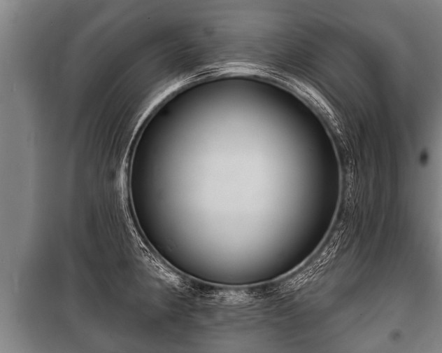 X0000100841190200806271105