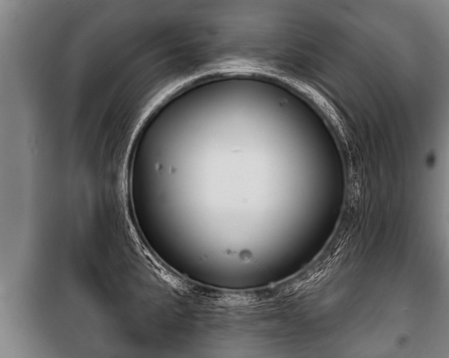 X0000100841191200806271105