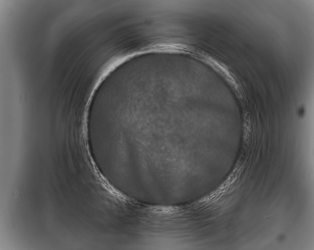 X0000100841192200806271105