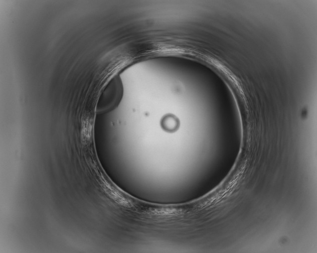 X0000100841193200806271105