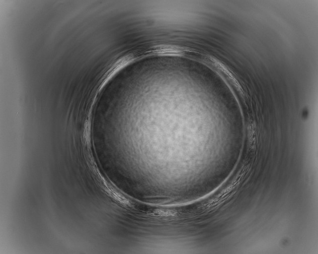 X0000100841194200806271105