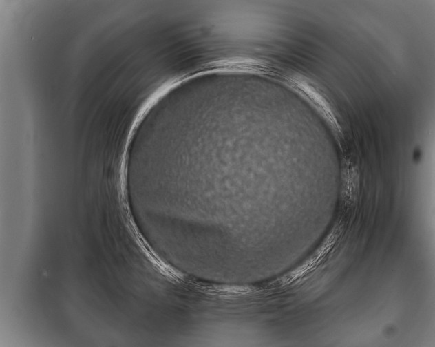 X0000100841196200806271105