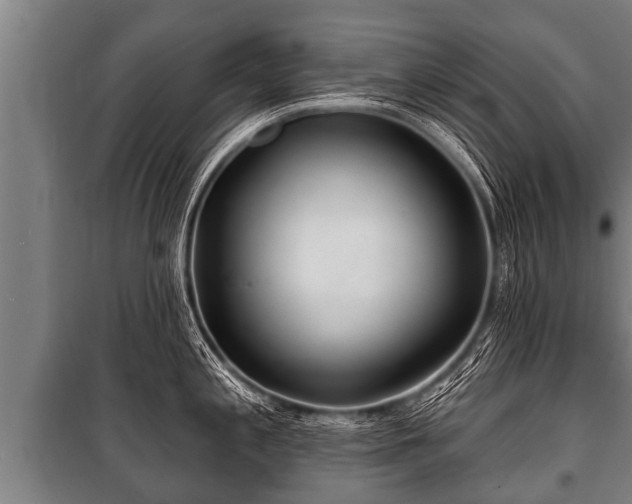 X0000100841197200806271105