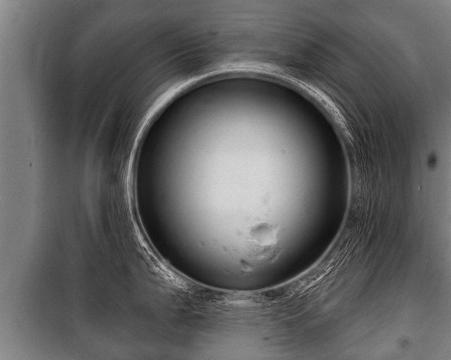 X0000100841199200806271105