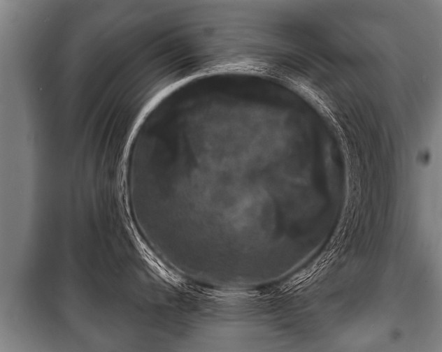 X0000100841200200806271105