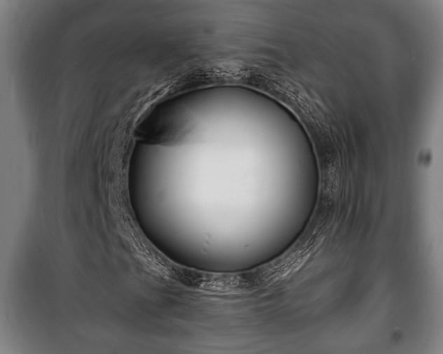 X0000100841201200806271104