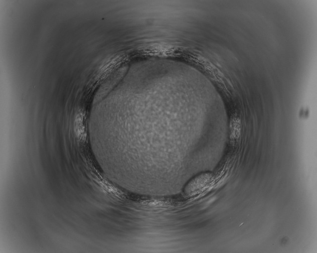 X0000100841202200806271104