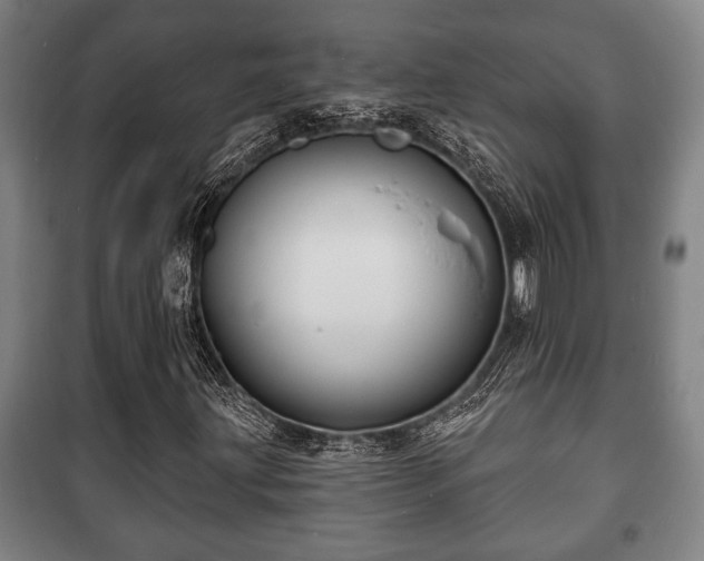 X0000100841203200806271104