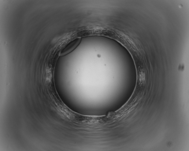 X0000100841204200806271104