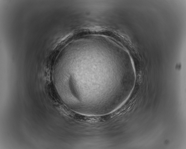 X0000100841205200806271104