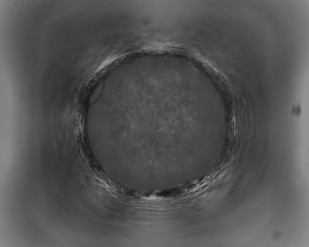 X0000100841206200806271104