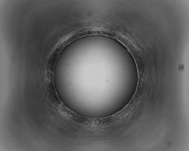 X0000100841207200806271104