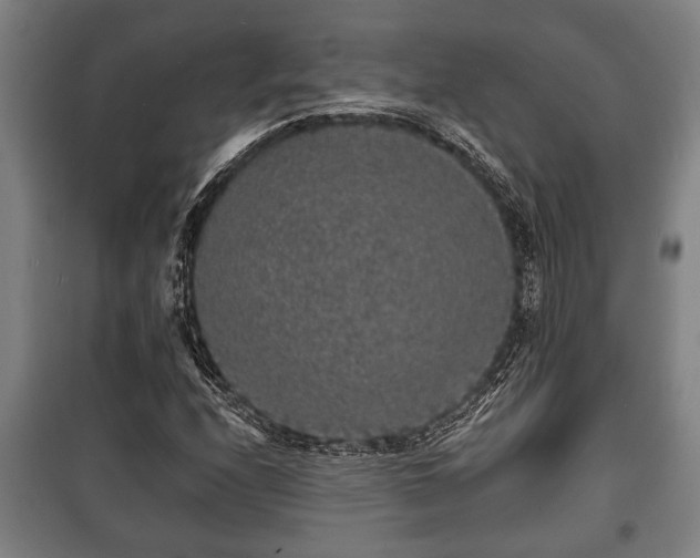 X0000100841208200806271104