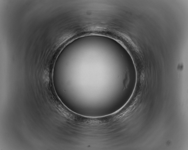 X0000100841209200806271104