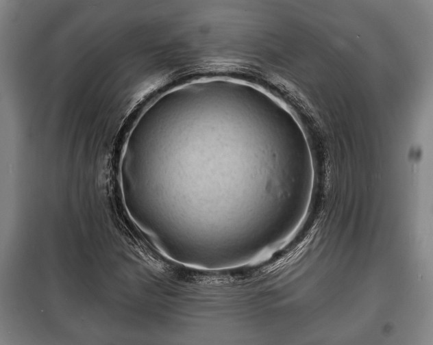 X0000100841210200806271104