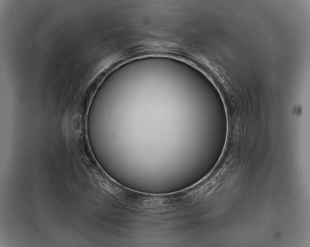 X0000100841211200806271104