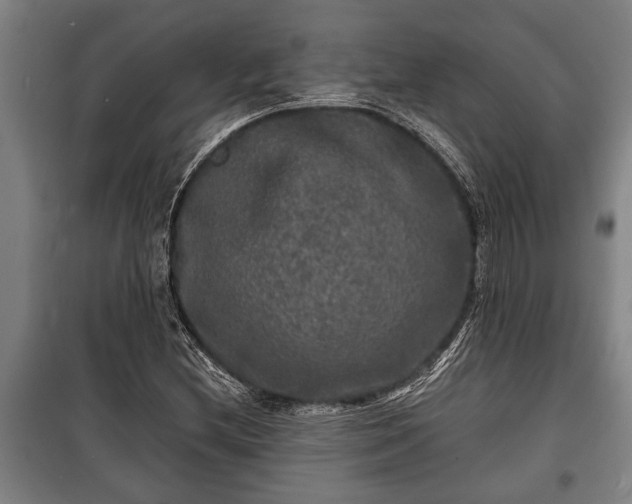 X0000100841212200806271104