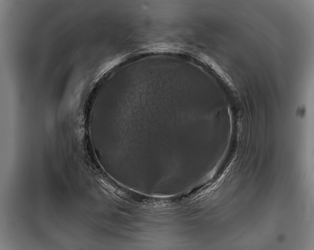 X0000100841213200806271104