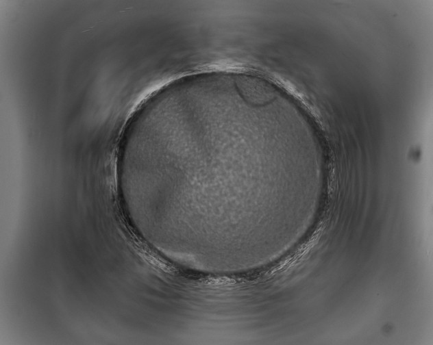 X0000100841214200806271104