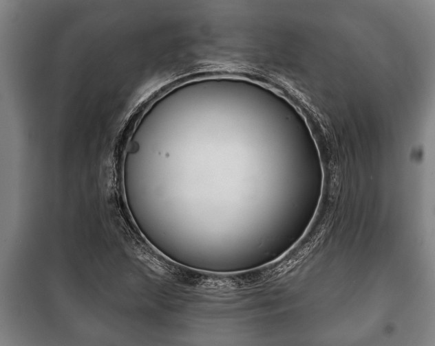 X0000100841215200806271104