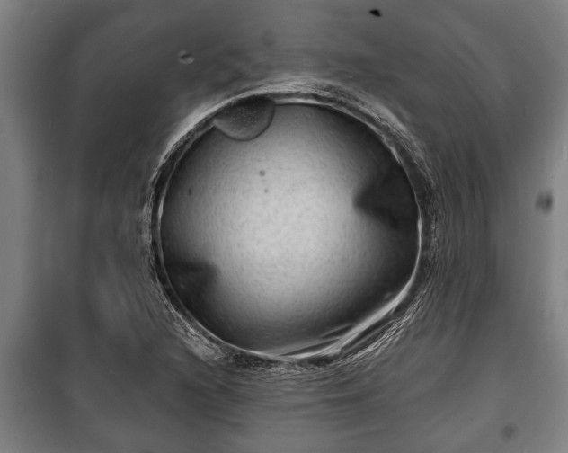 X0000100841216200806271105