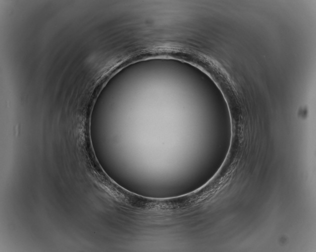 X0000100841217200806271105