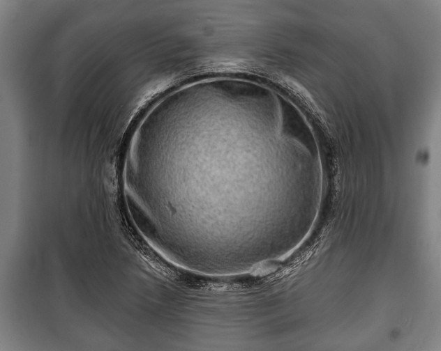 X0000100841218200806271105