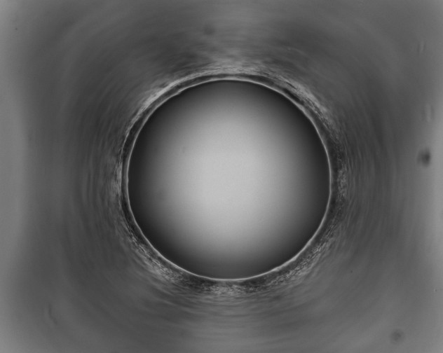 X0000100841220200806271105