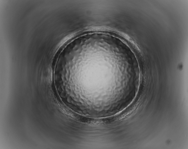 X0000100841221200806271105