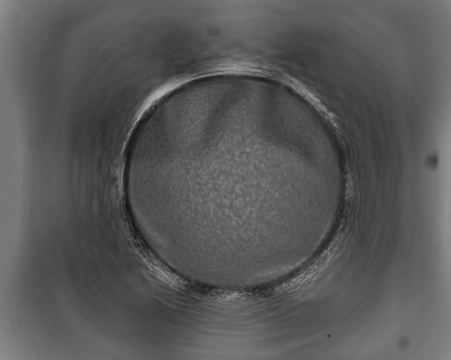 X0000100841222200806271105