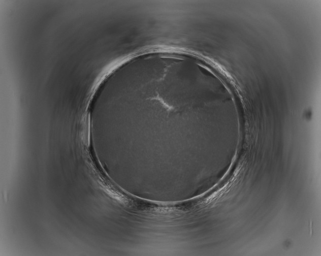 X0000100841223200806271105