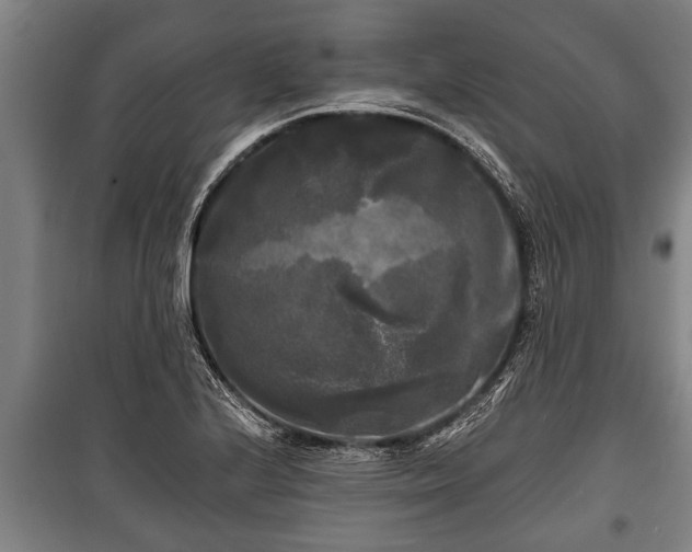 X0000100841224200806271105