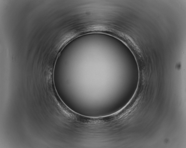 X0000100841225200806271105