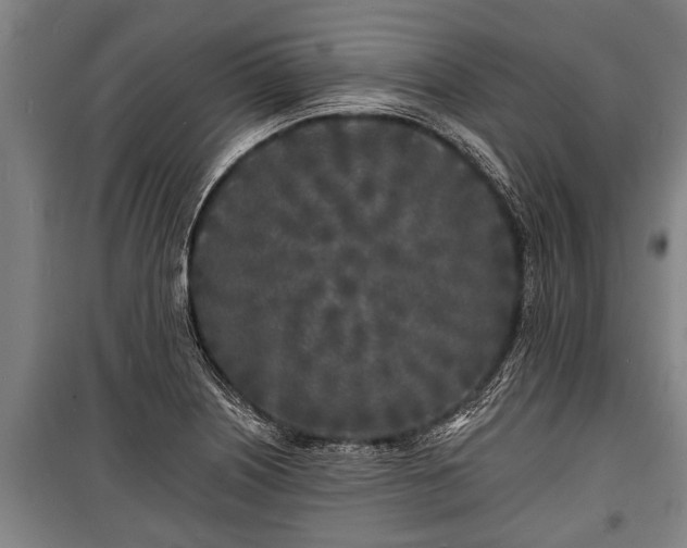 X0000100841226200806271105