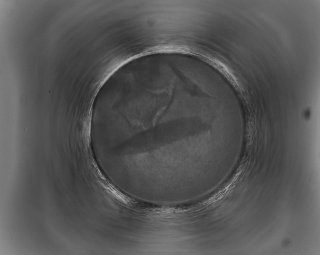 X0000100841228200806271105