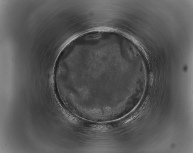 X0000100841229200806271105