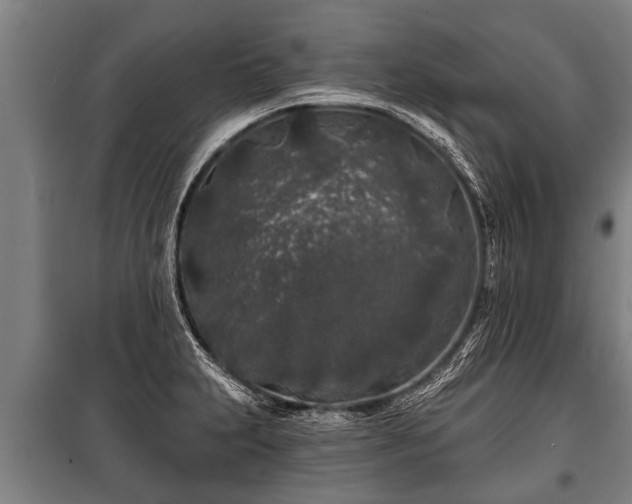 X0000100841231200806271105