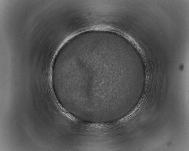 X0000100841232200806271105