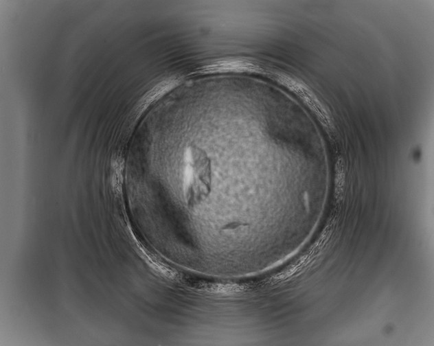 X0000100841233200806271105