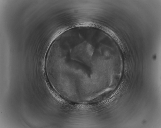 X0000100841234200806271105