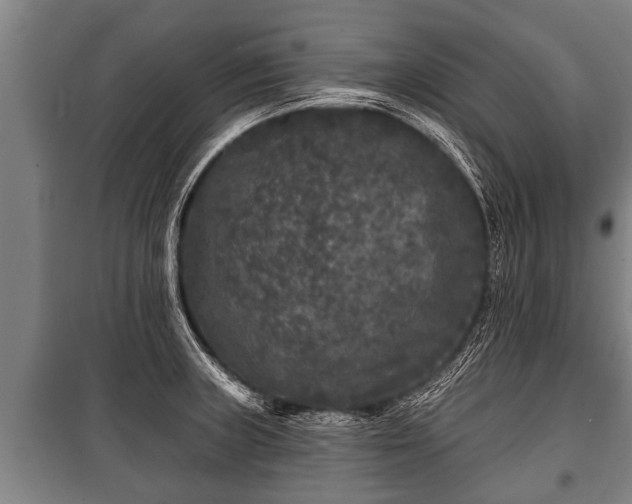 X0000100841235200806271105