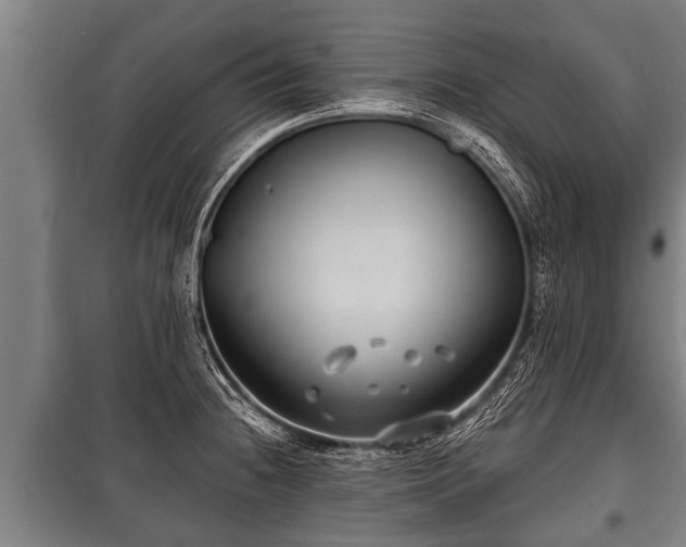 X0000100841236200806271105