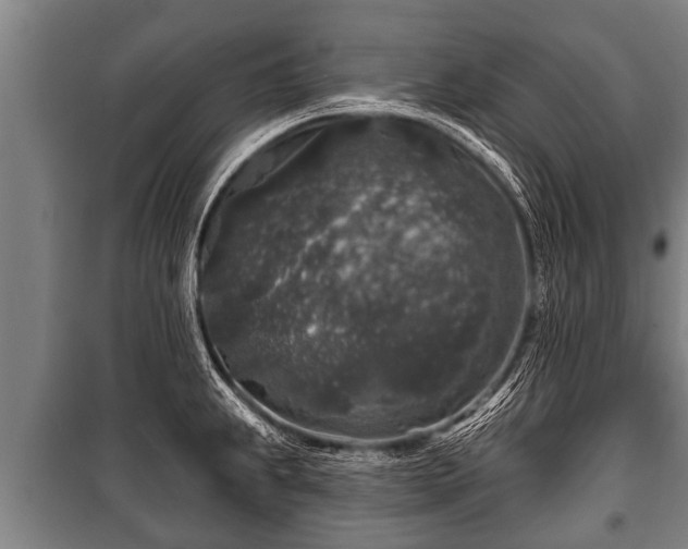 X0000100841239200806271105