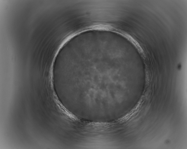 X0000100841240200806271105