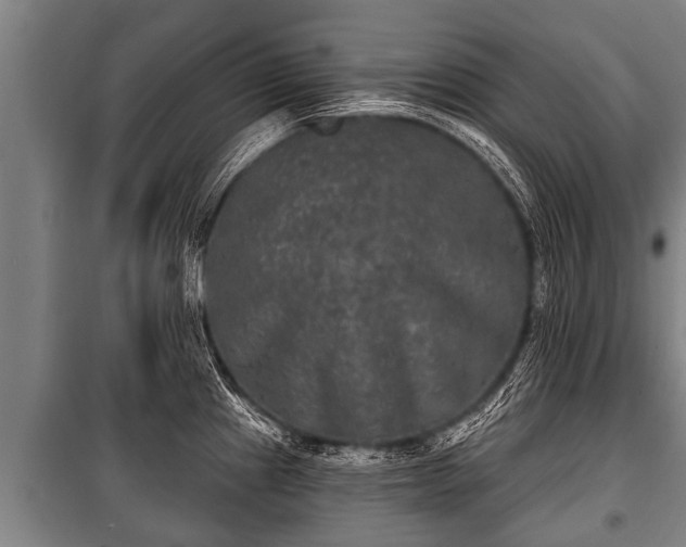 X0000100841241200806271105