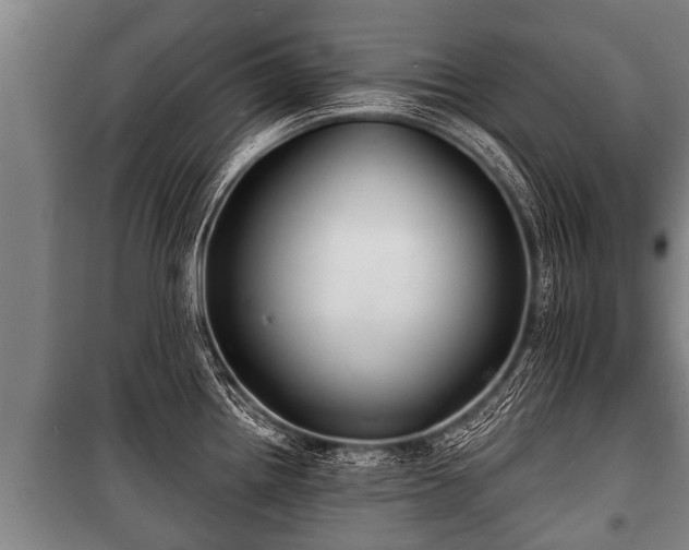 X0000100841242200806271105