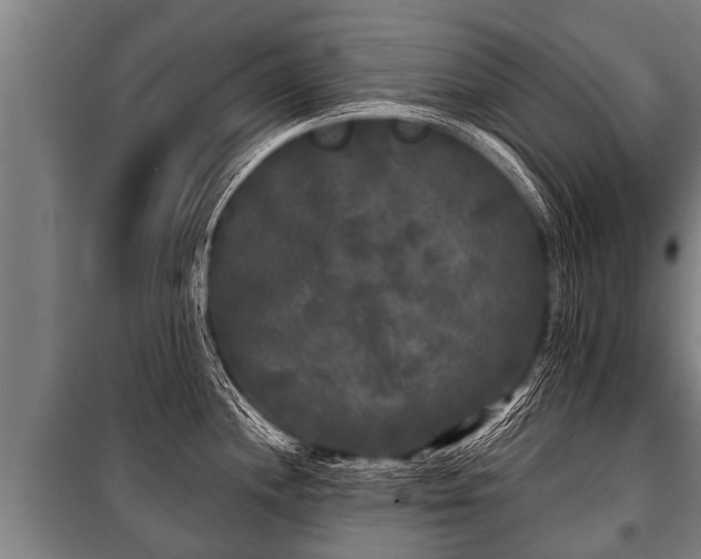 X0000100841244200806271105