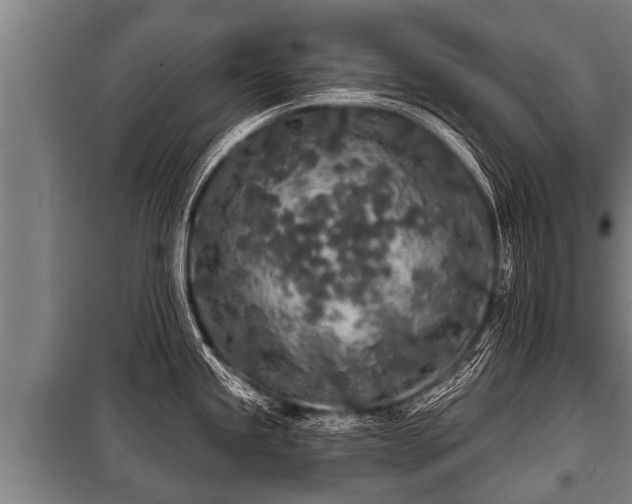 X0000100841245200806271105