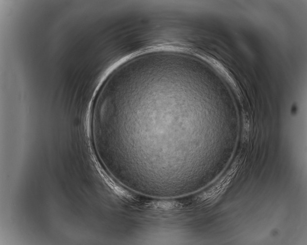 X0000100841246200806271105