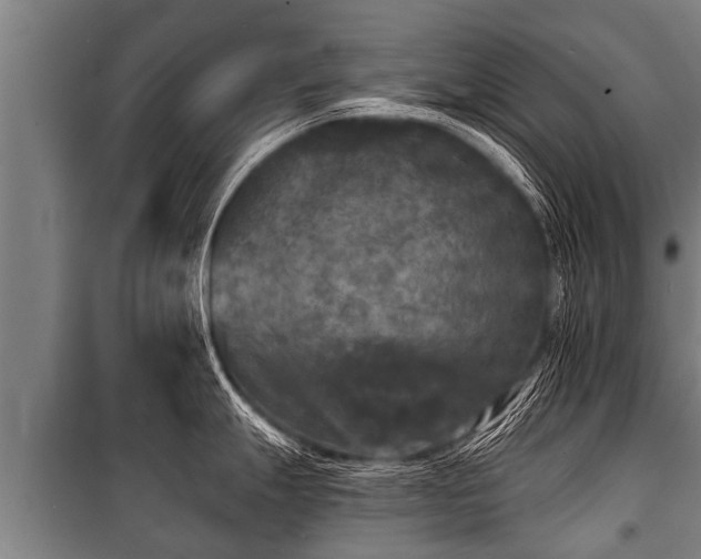 X0000100841247200806271105